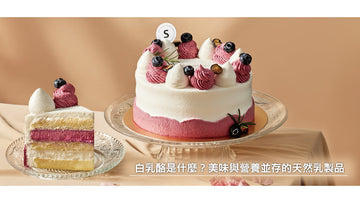 白乳酪是什麼？美味與營養並存的天然乳製品