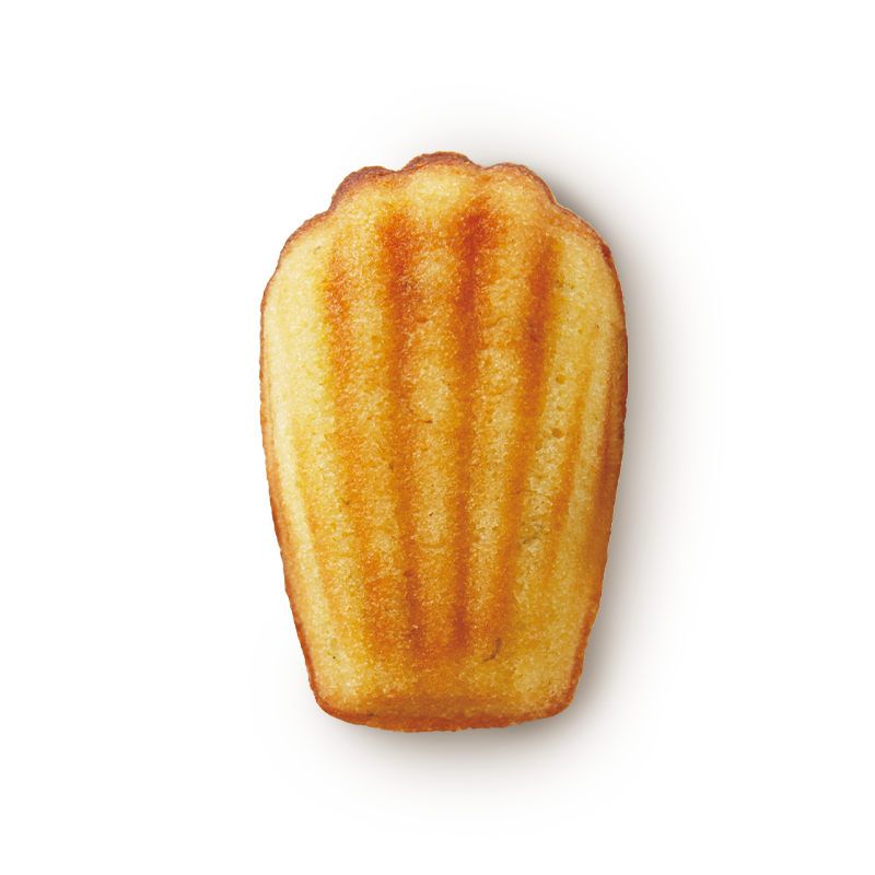 瑪德蓮 Madeleine