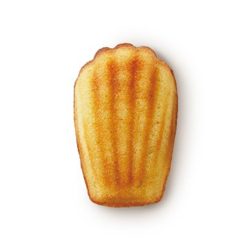 瑪德蓮 Madeleine